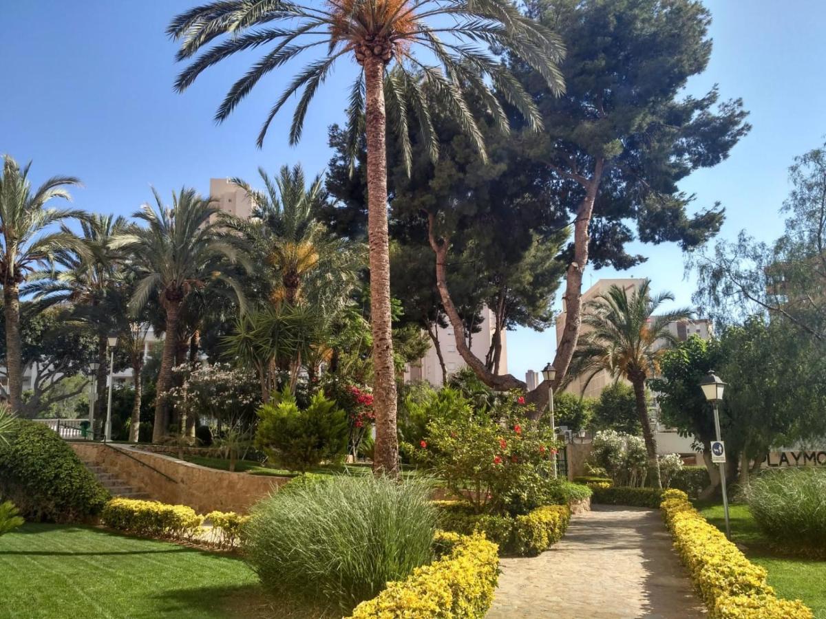 Wifi Loix Apartment Benidorm Kültér fotó